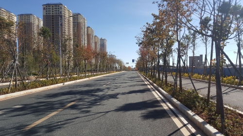 东旭骏城市政道路